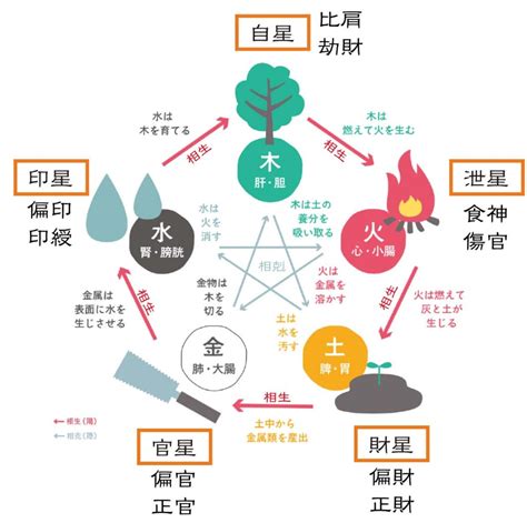 陽火性格|四柱推命【火】の五行とは？性格や運勢、恋愛、仕事。